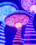 556287_60299_profile