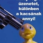 556513_99919_card