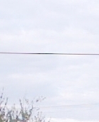 556808_16785_profile