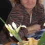 557074_73102_card