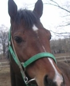 557109_80930_profile