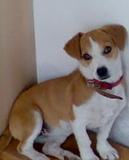 557169_28248_profile