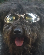 557495_39993_profile