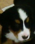 559103_75377_profile