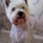 505707_86590_mini