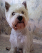 505707_86590_profile
