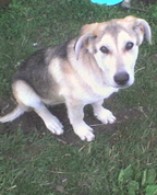 505847_97879_profile