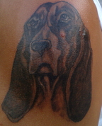 505921_36248_profile
