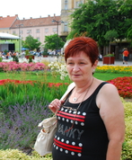 566099_76900_profile