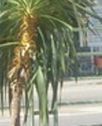 566198_25806_profile