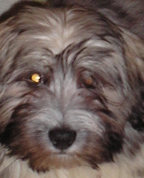 569408_11401_profile