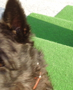 575397_12536_profile