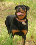 575451_64011_profile