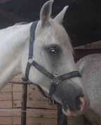 575481_89598_profile