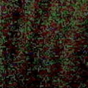 575505_27660_card