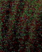 575505_27660_profile
