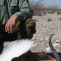 575997_70316_card