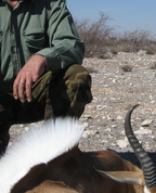 575997_70316_profile