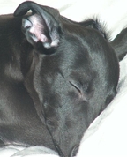 577062_44432_profile