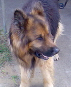 586289_27413_profile