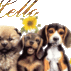 588735_47563_tiny