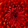 588866_27889_mini