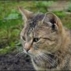 58104_160373_tiny