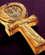 59477_125529_profile