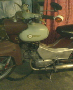 59482_028687_profile