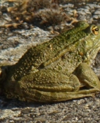 59589_169983_profile