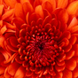 626949_92443_card