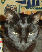 620219_32511_profile