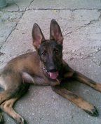 630004_64931_profile
