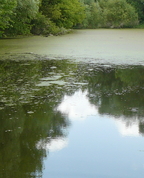 630102_66302_profile