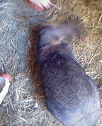 642720_89876_profile