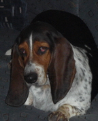 644633_99318_profile