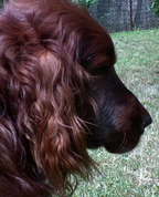 646410_74115_profile