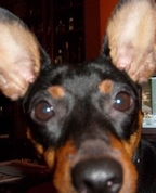646493_51366_profile