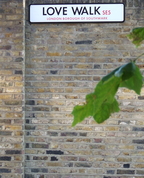 655654_80747_profile