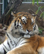 655822_95675_profile