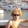 656001_58582_mini