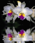 658664_89263_profile