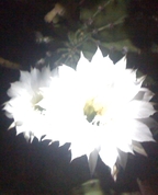 659995_84310_profile