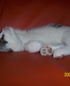 65809_170145_profile