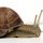 664804_10864_mini
