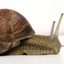 664804_10864_tiny