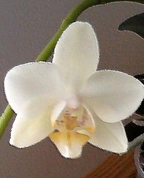 665000_76305_profile