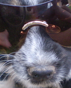 669837_76243_profile