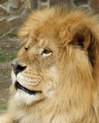 66097_656174_profile