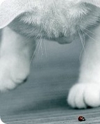 671977_67333_profile